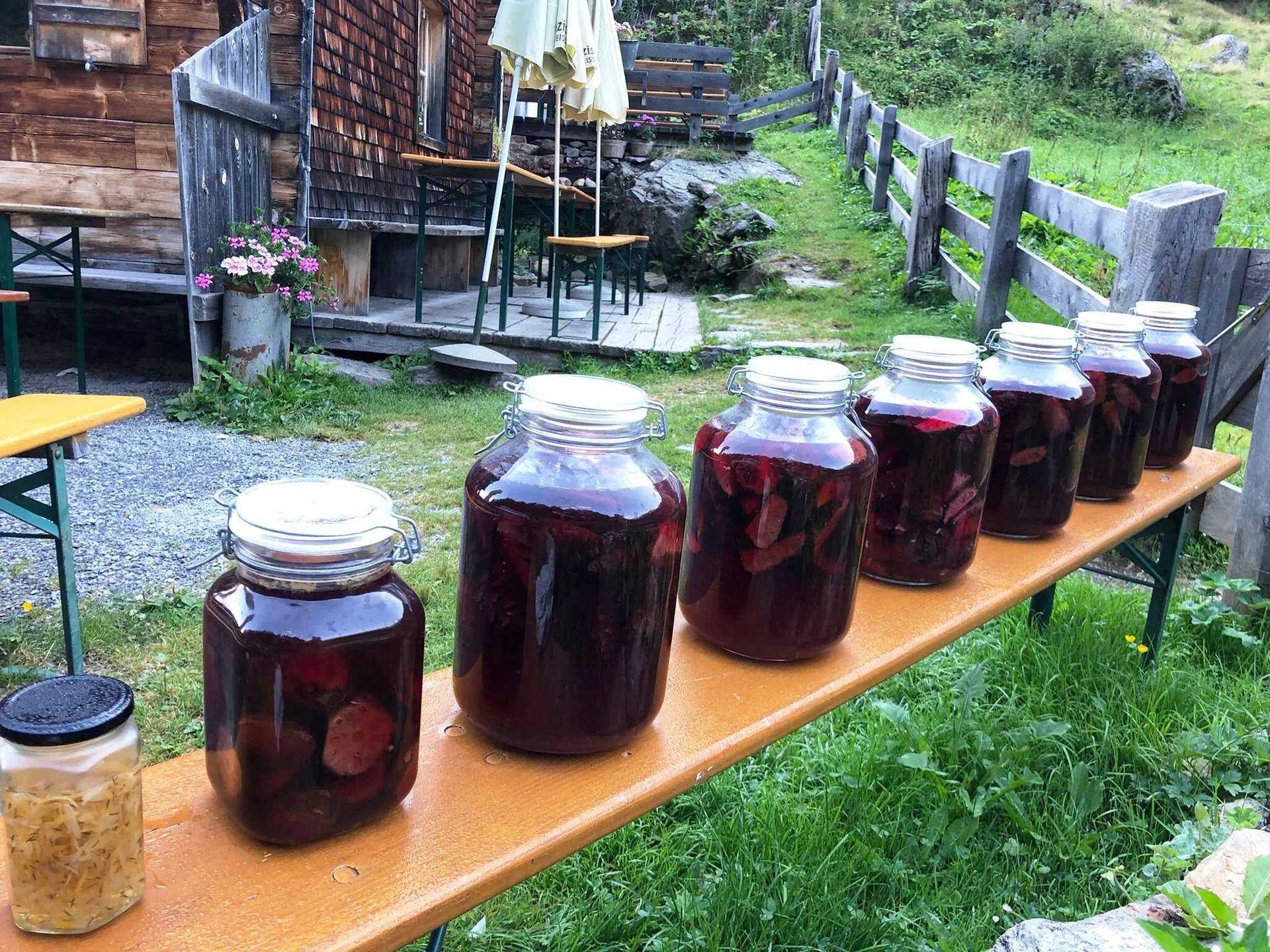 Zirbenschnaps wird angesetzt | © Susanne Sagner