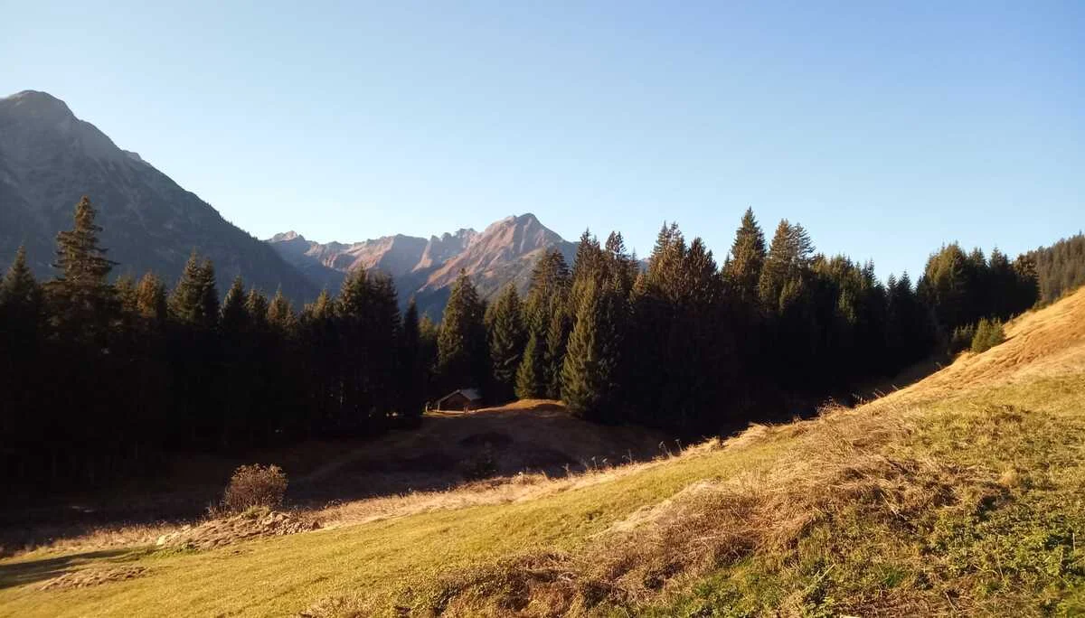 Das Lechtal und seine Berge | © Birgit Baumer-Waltersdorf