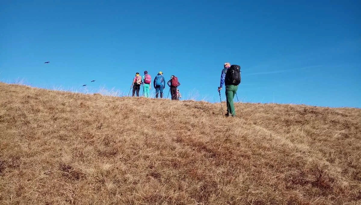 © Birgit Baumer-Waltersdorf