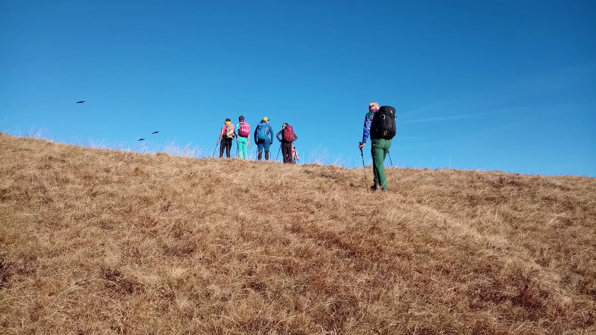 © Birgit Baumer-Waltersdorf