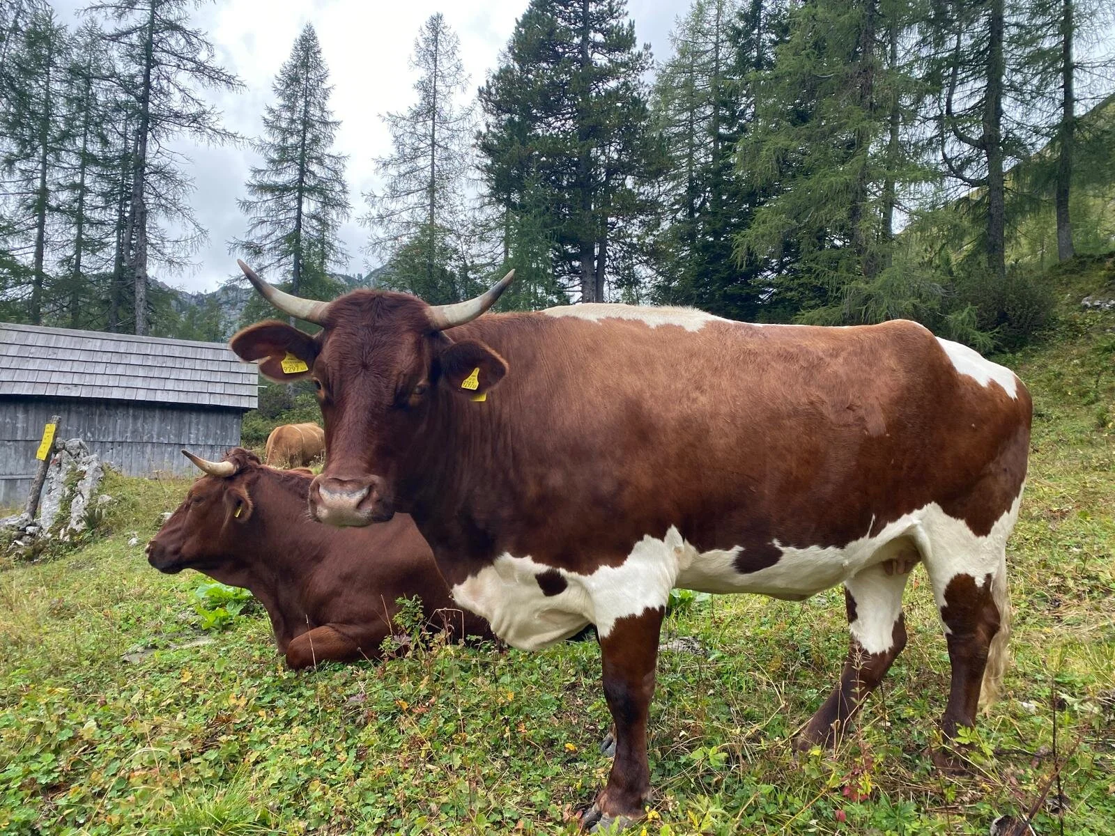 Sehr fotogen | © Sarah Lautenbacher