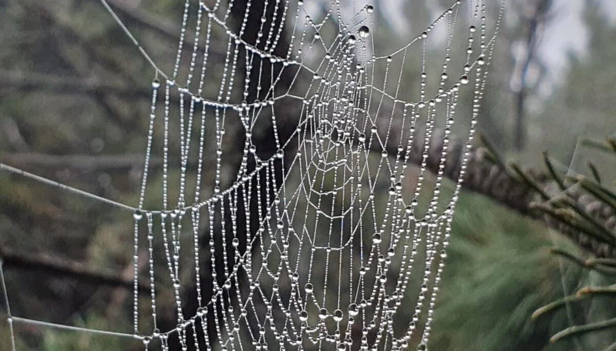 Ein Zeichen von Herbst | © Max Bollwein