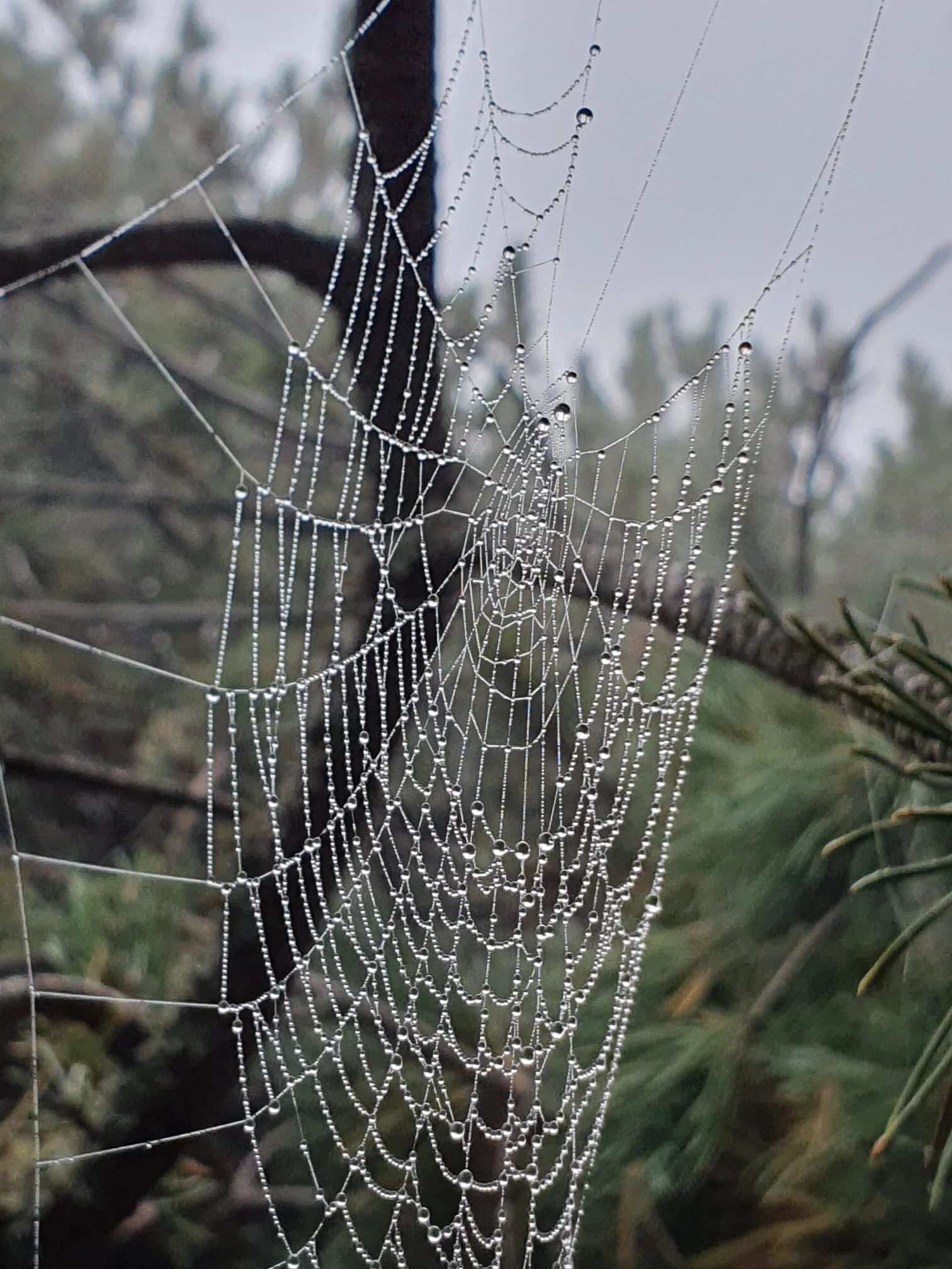 Ein Zeichen von Herbst | © Max Bollwein