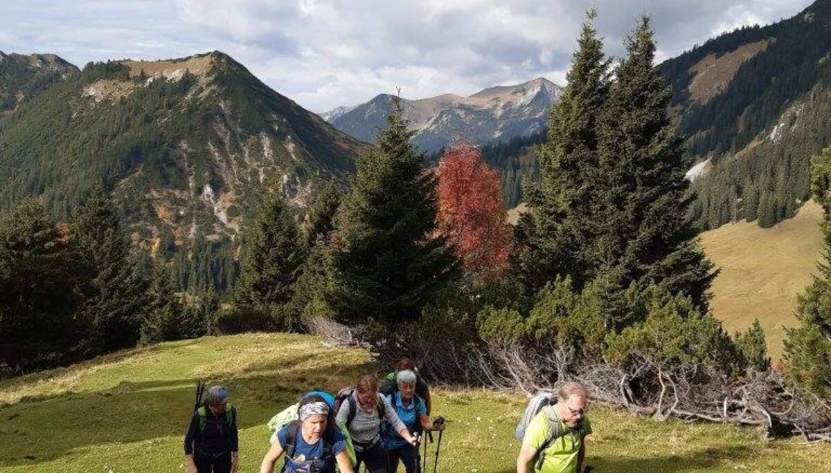 Aufwärts nach der Stepbergalm | © Max Bollwein