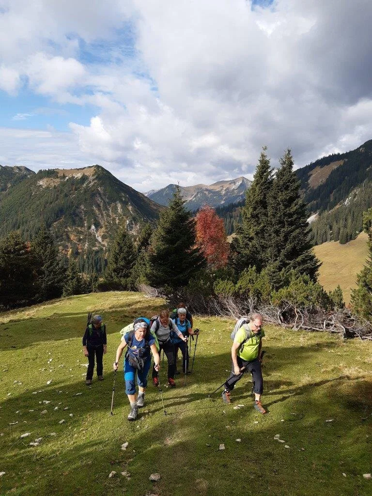 Aufwärts nach der Stepbergalm | © Max Bollwein