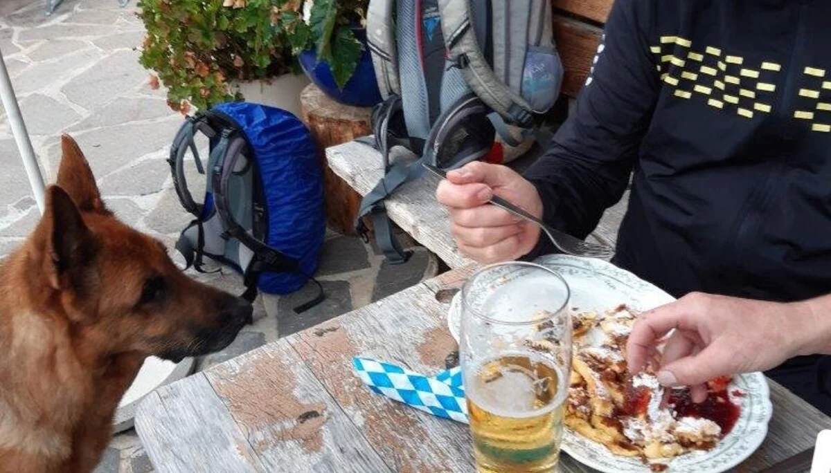 Der Hund will auch etwas | © Max Bollwein