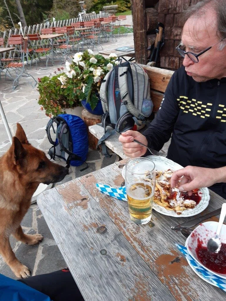 Der Hund will auch etwas | © Max Bollwein