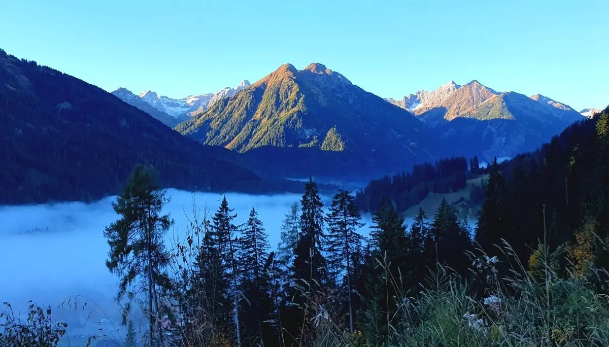 Frühnebel im Lechtal | © Thorsten Blößer
