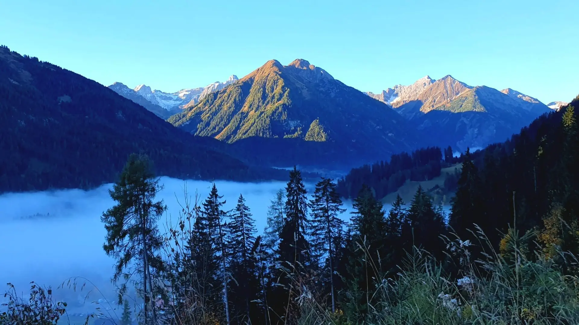 Frühnebel im Lechtal | © Thorsten Blößer