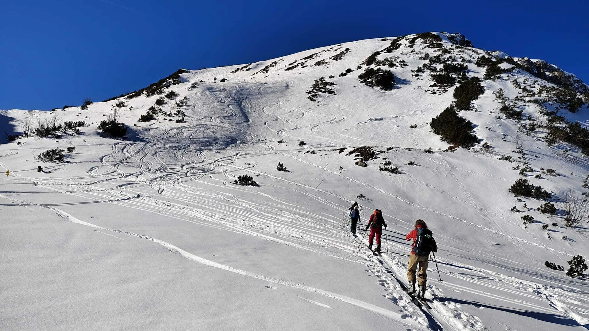 Damenskitour | © Andrea Ottner