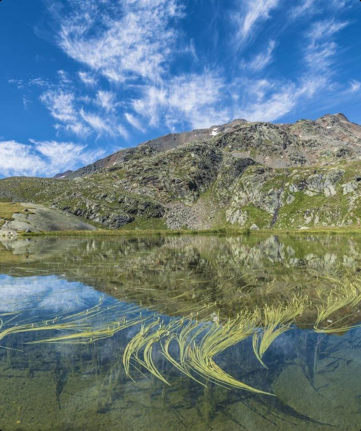 Rif. Dorigoni | © Rif. Dorigoni