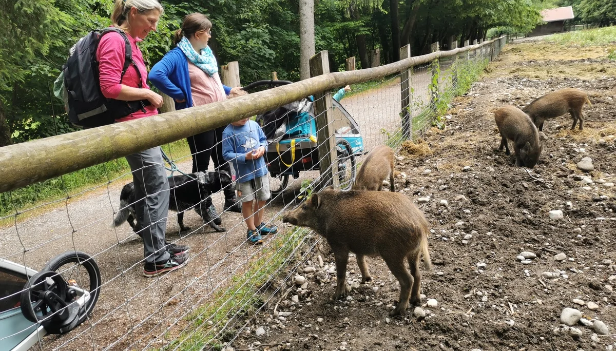 © DAV/Gesa Landsgesell