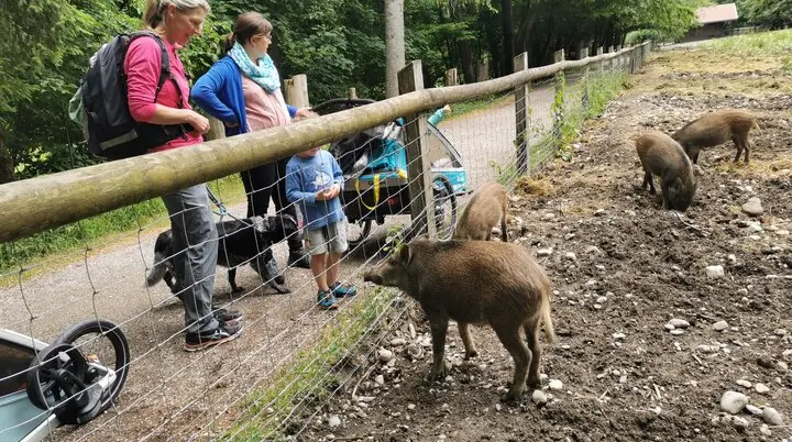 © DAV/Gesa Landsgesell