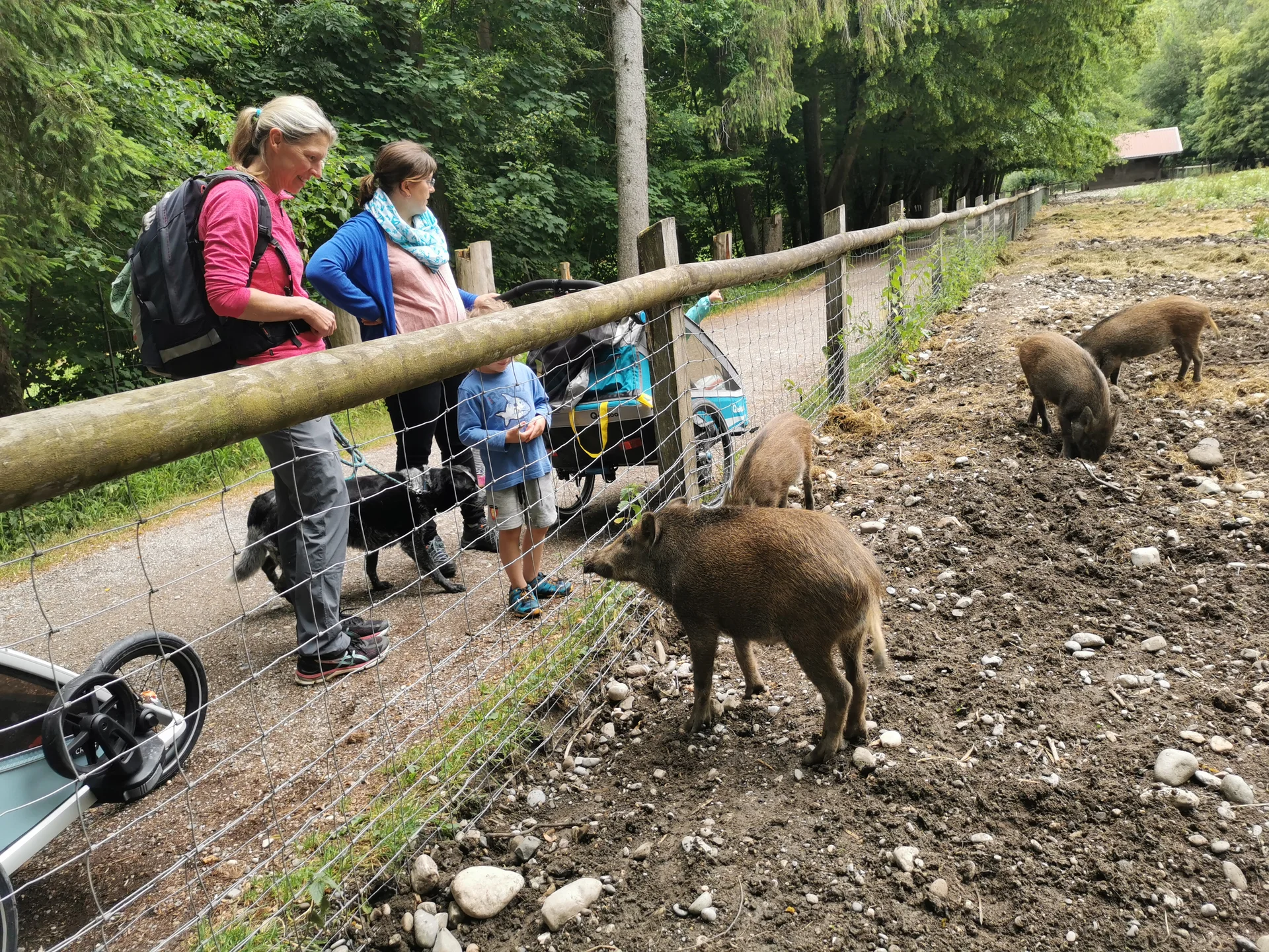 © DAV/Gesa Landsgesell