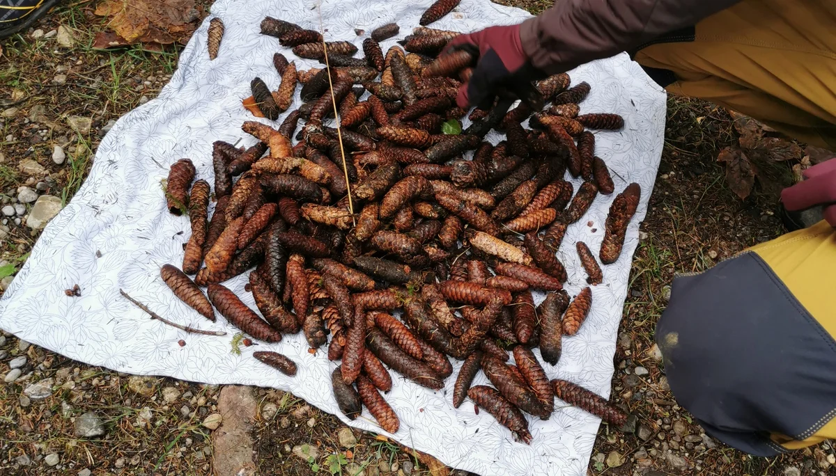 © DAV/Gesa Landsgesell