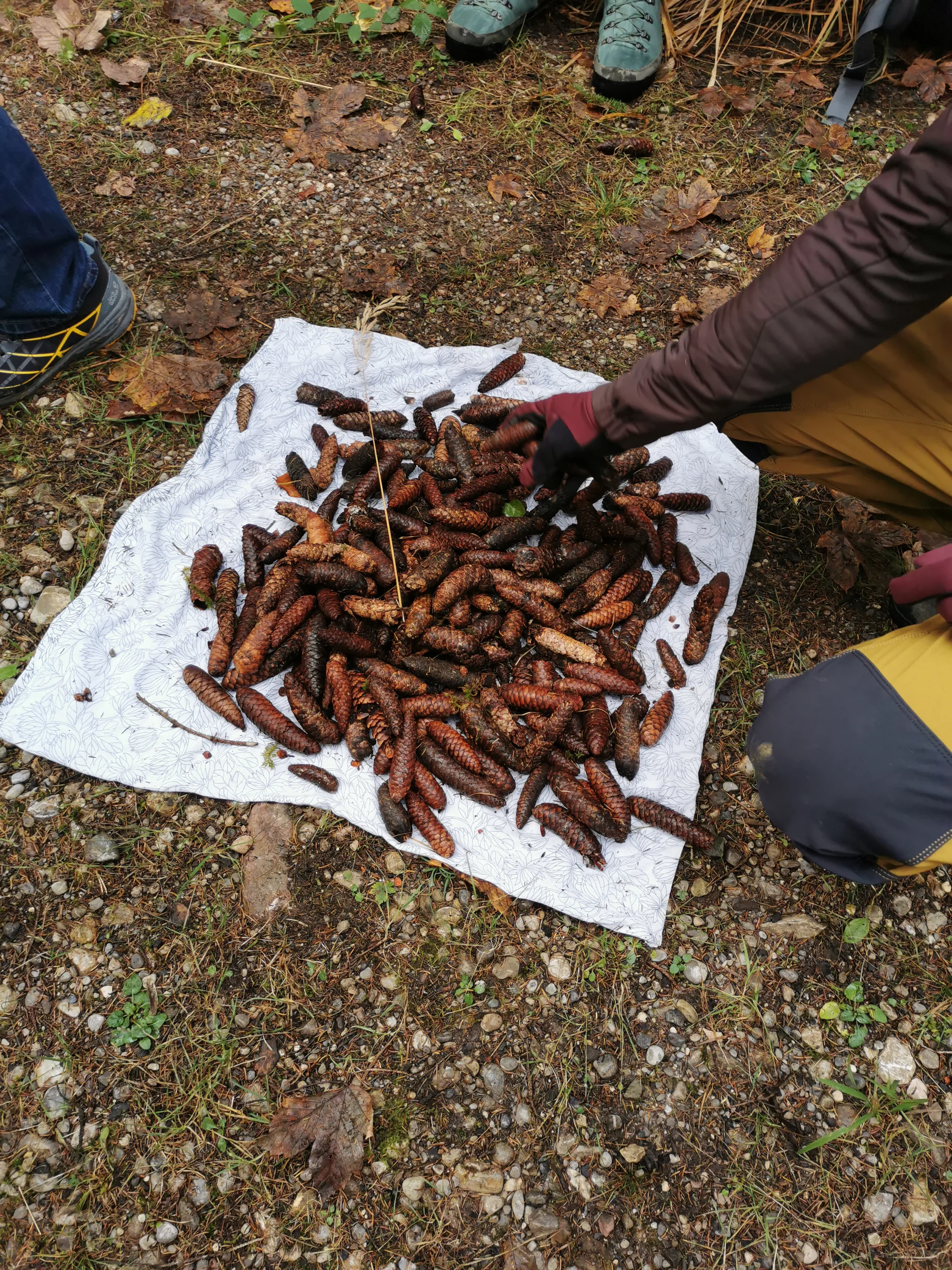 © DAV/Gesa Landsgesell