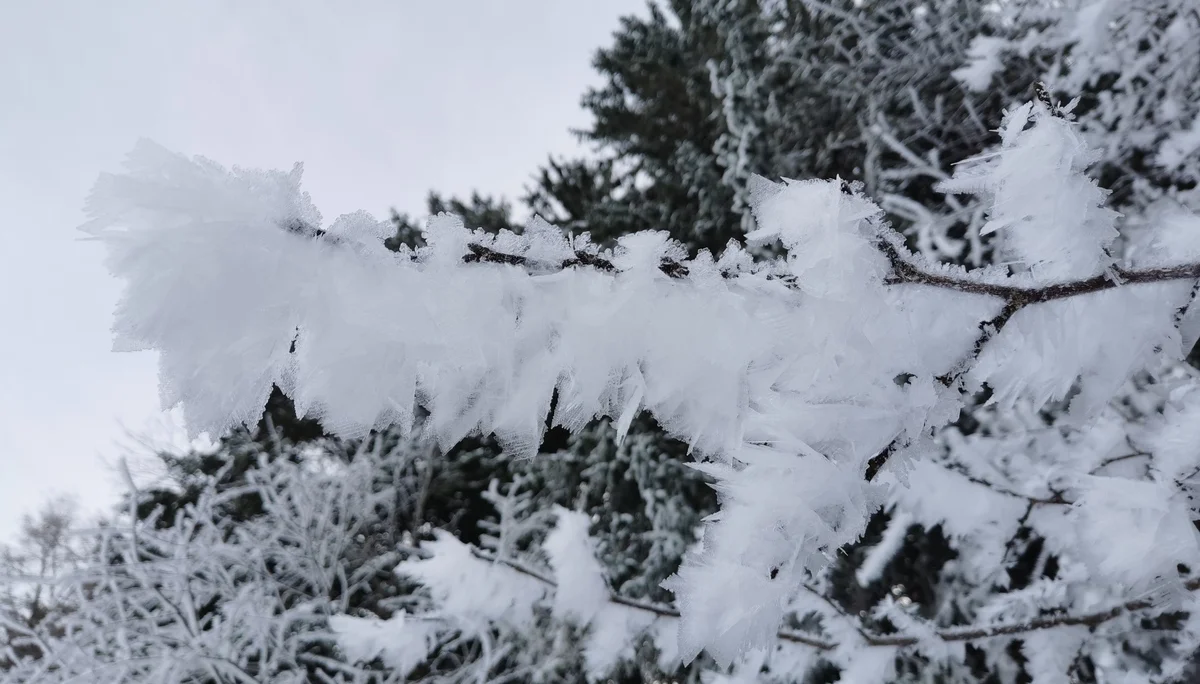 © DAV/Gesa Landsgesell