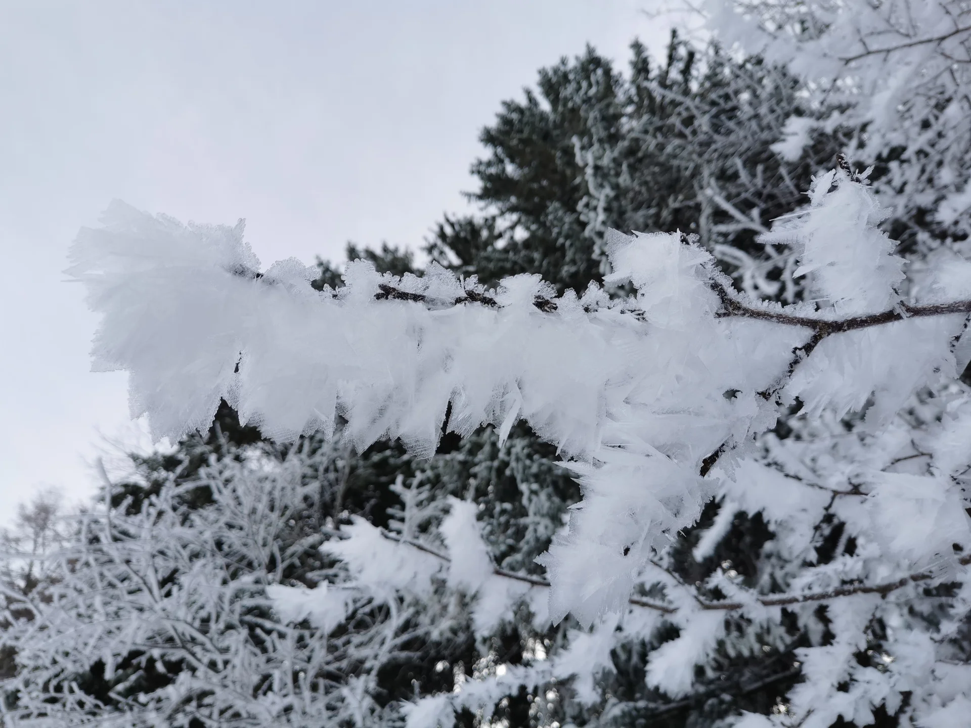 © DAV/Gesa Landsgesell