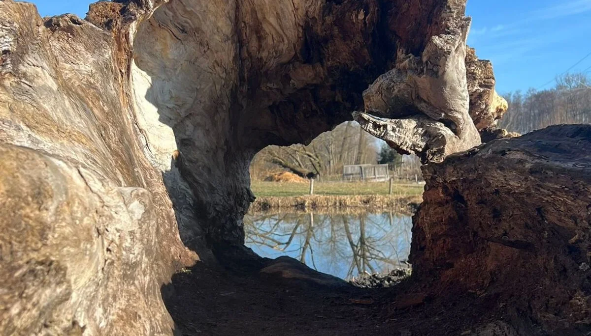 © DAV/Gesa Landsgesell