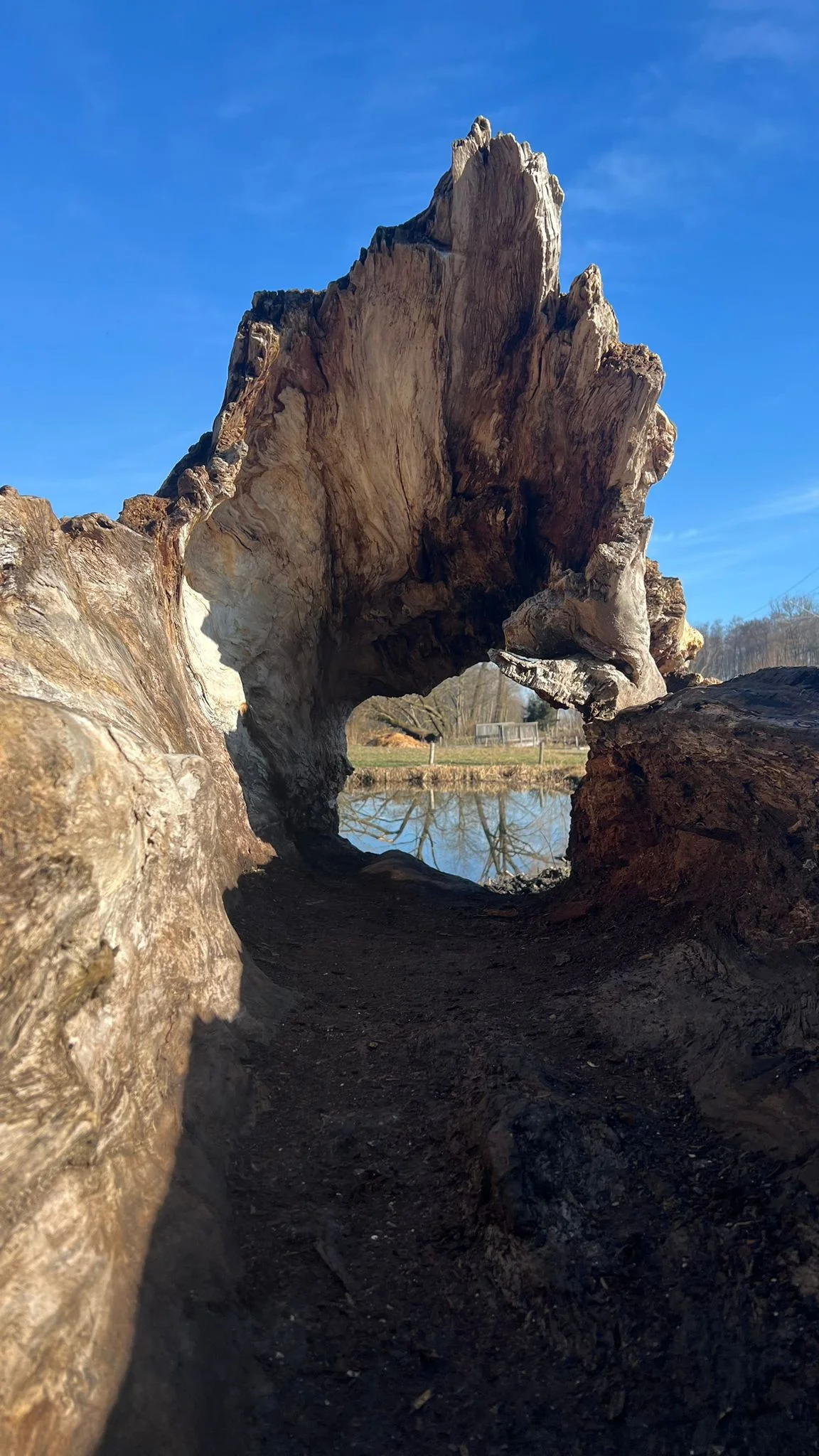 © DAV/Gesa Landsgesell