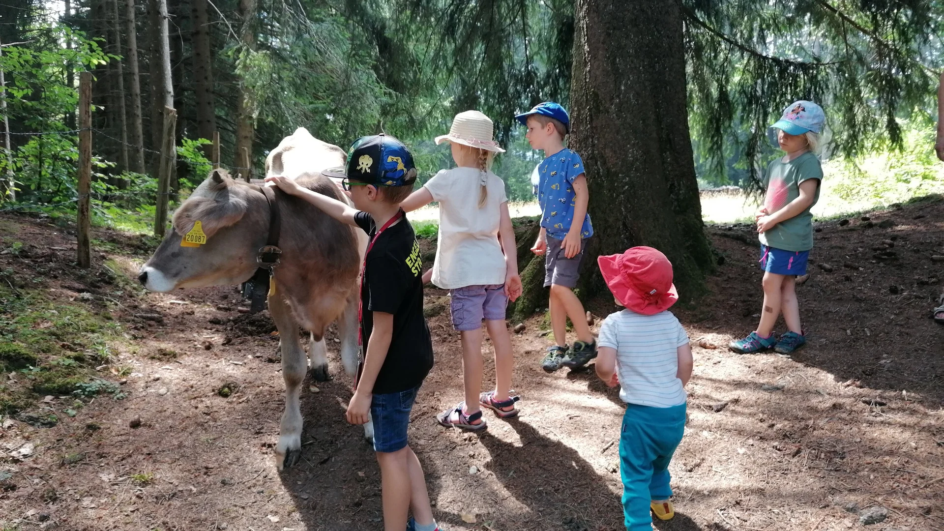 © DAV/Mareen Mühle