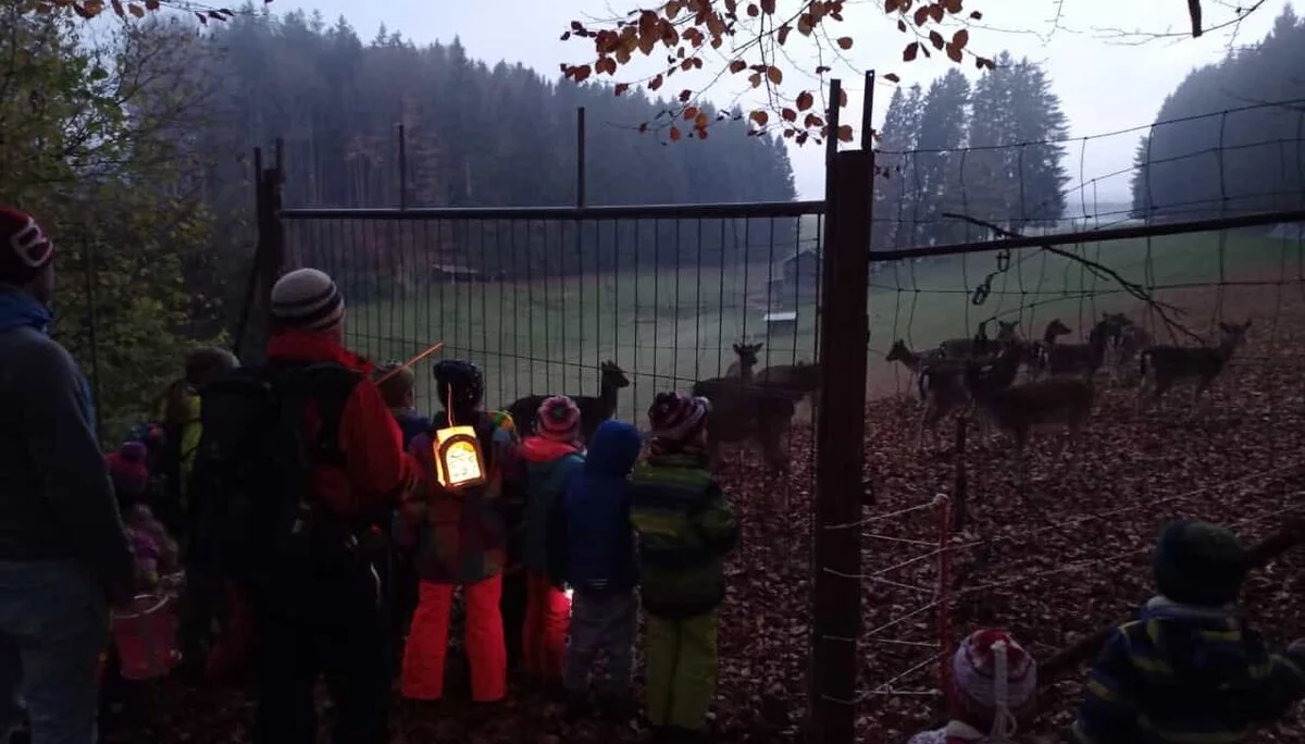 © DAV/Mareen Mühle