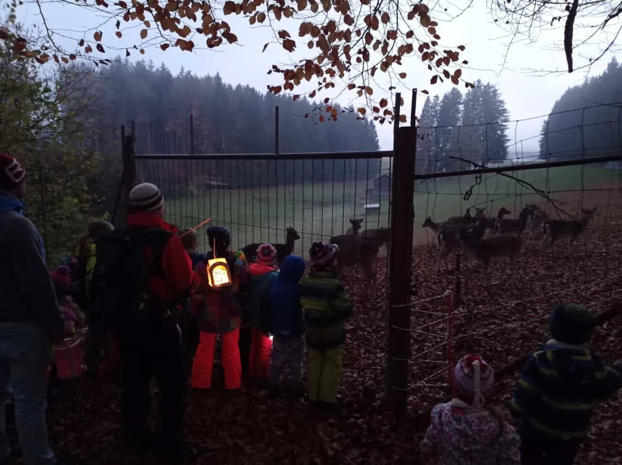 © DAV/Mareen Mühle