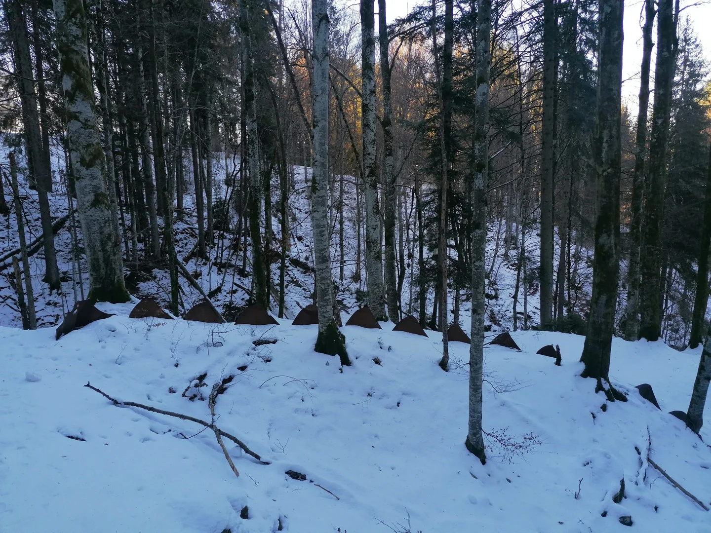 © DAV/Mareen Mühle