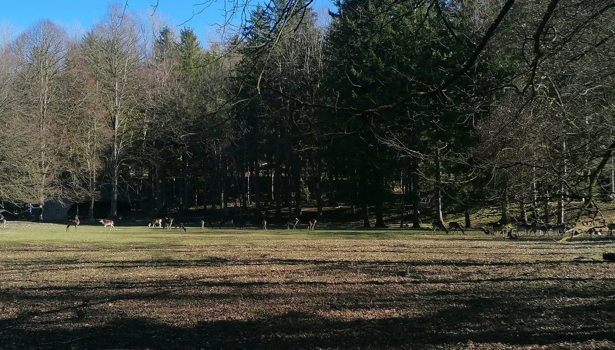 © Alexandra Danzinger