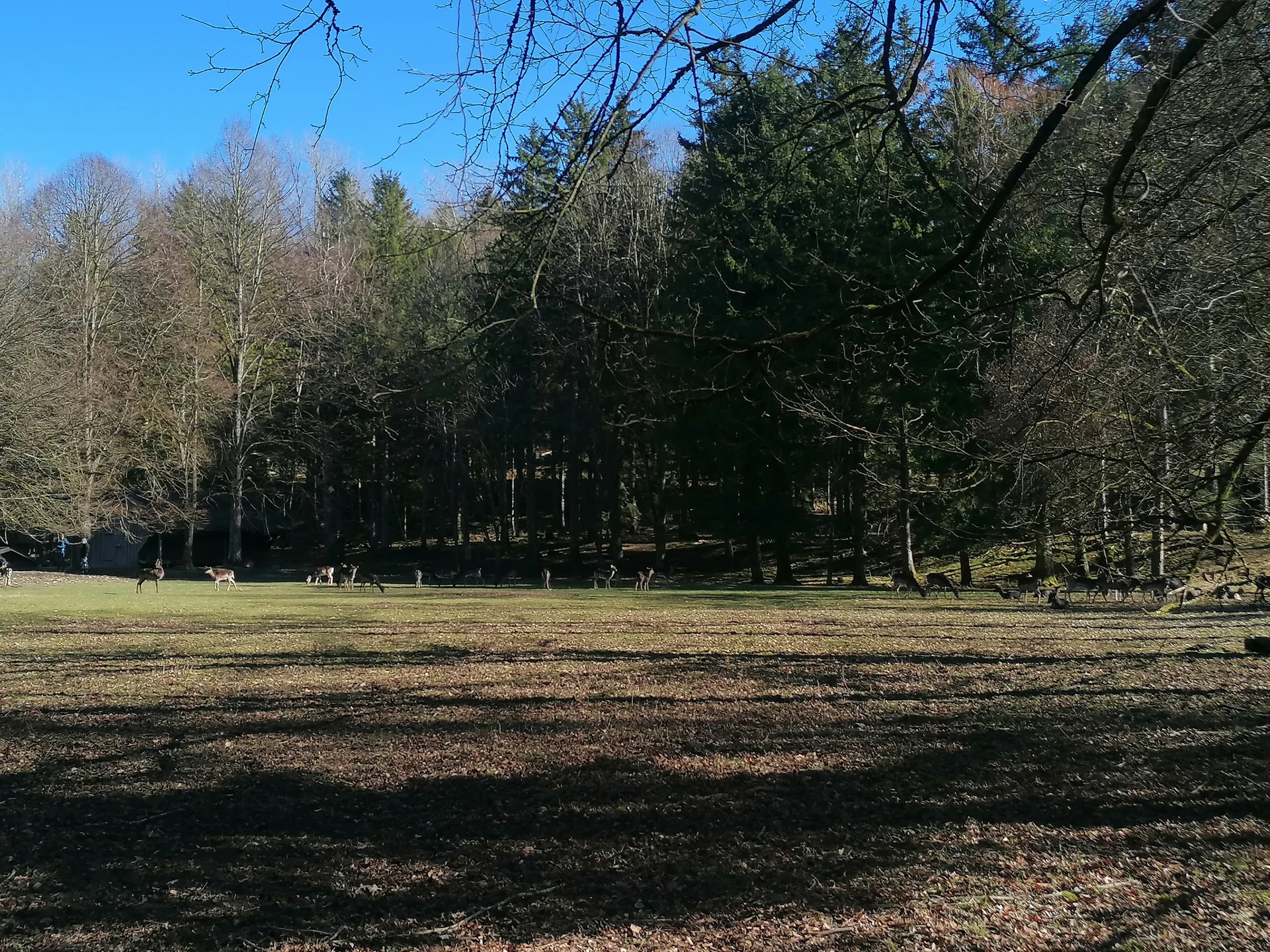 © Alexandra Danzinger