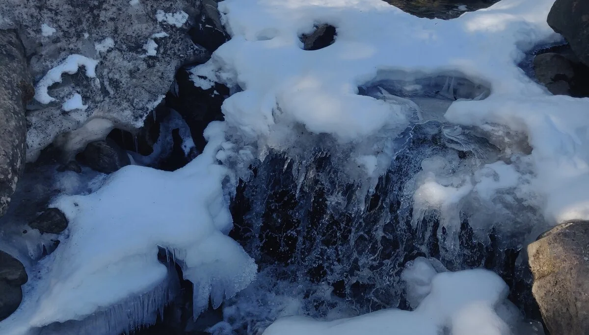 © Johanna Engelbrecht