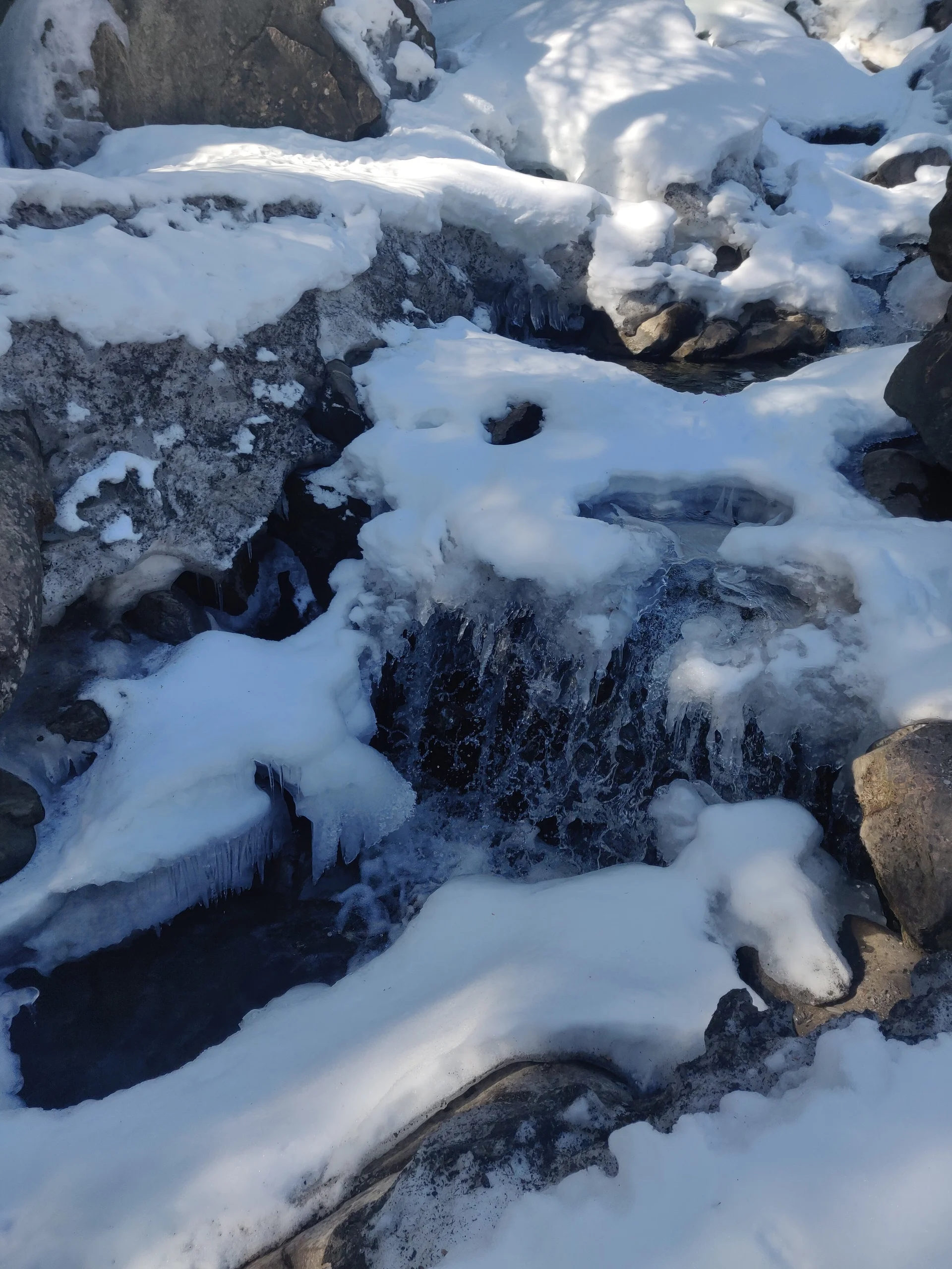 © Johanna Engelbrecht