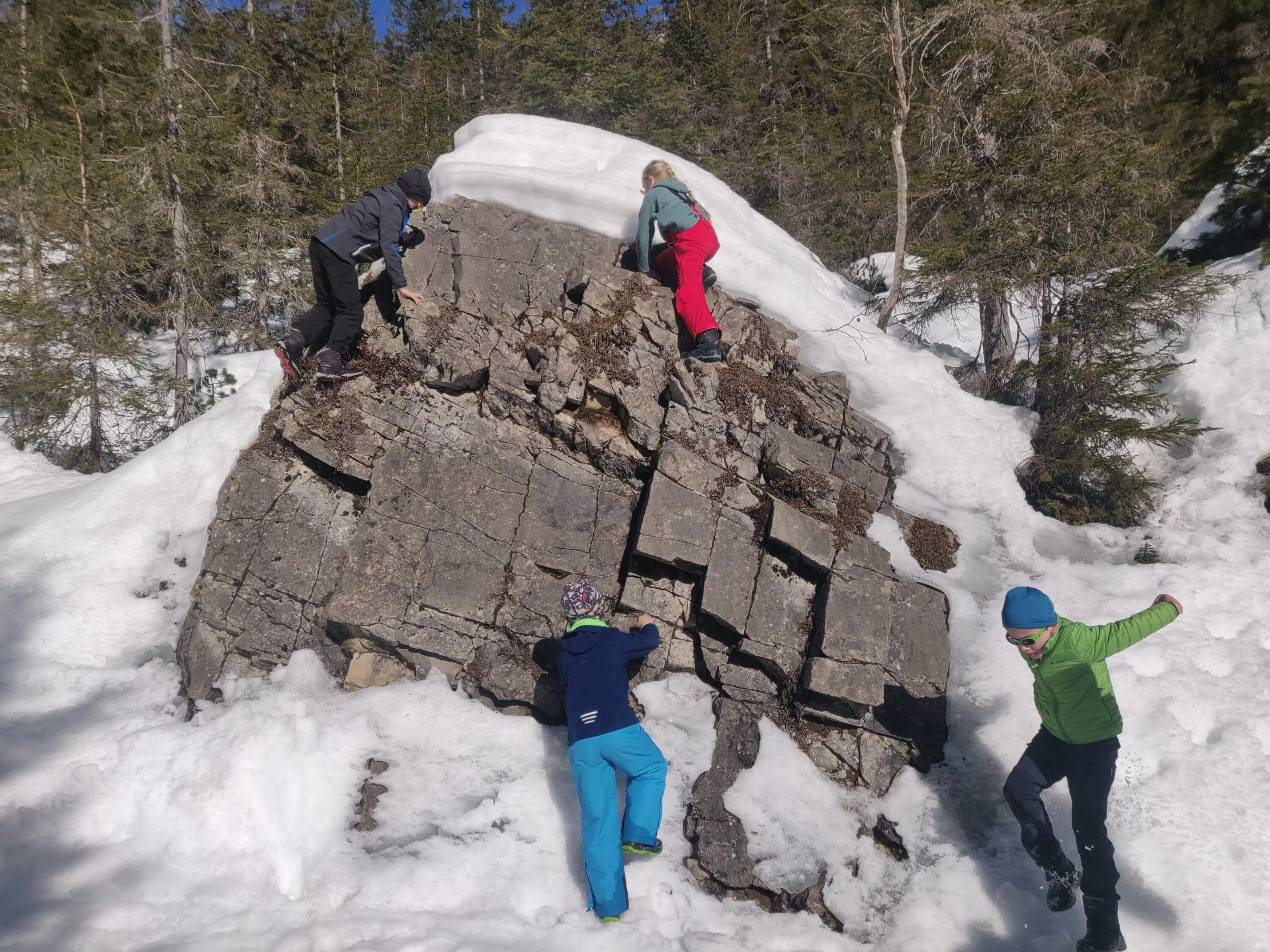 © Johanna Engelbrecht