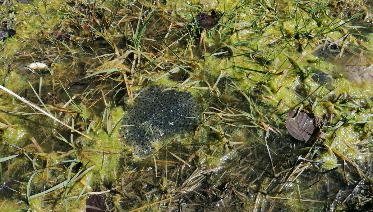 © DAV/Mareen Mühle