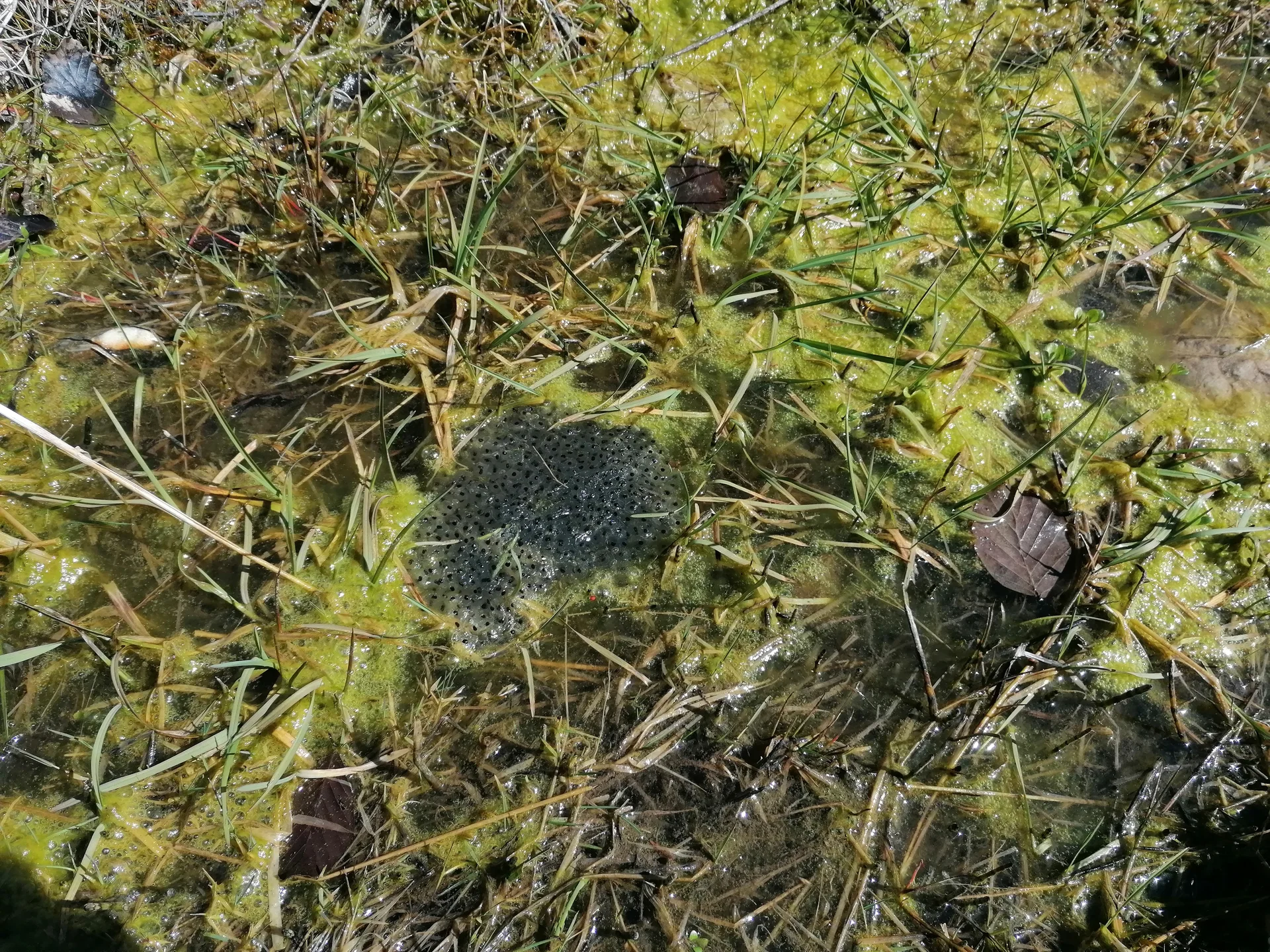 © DAV/Mareen Mühle