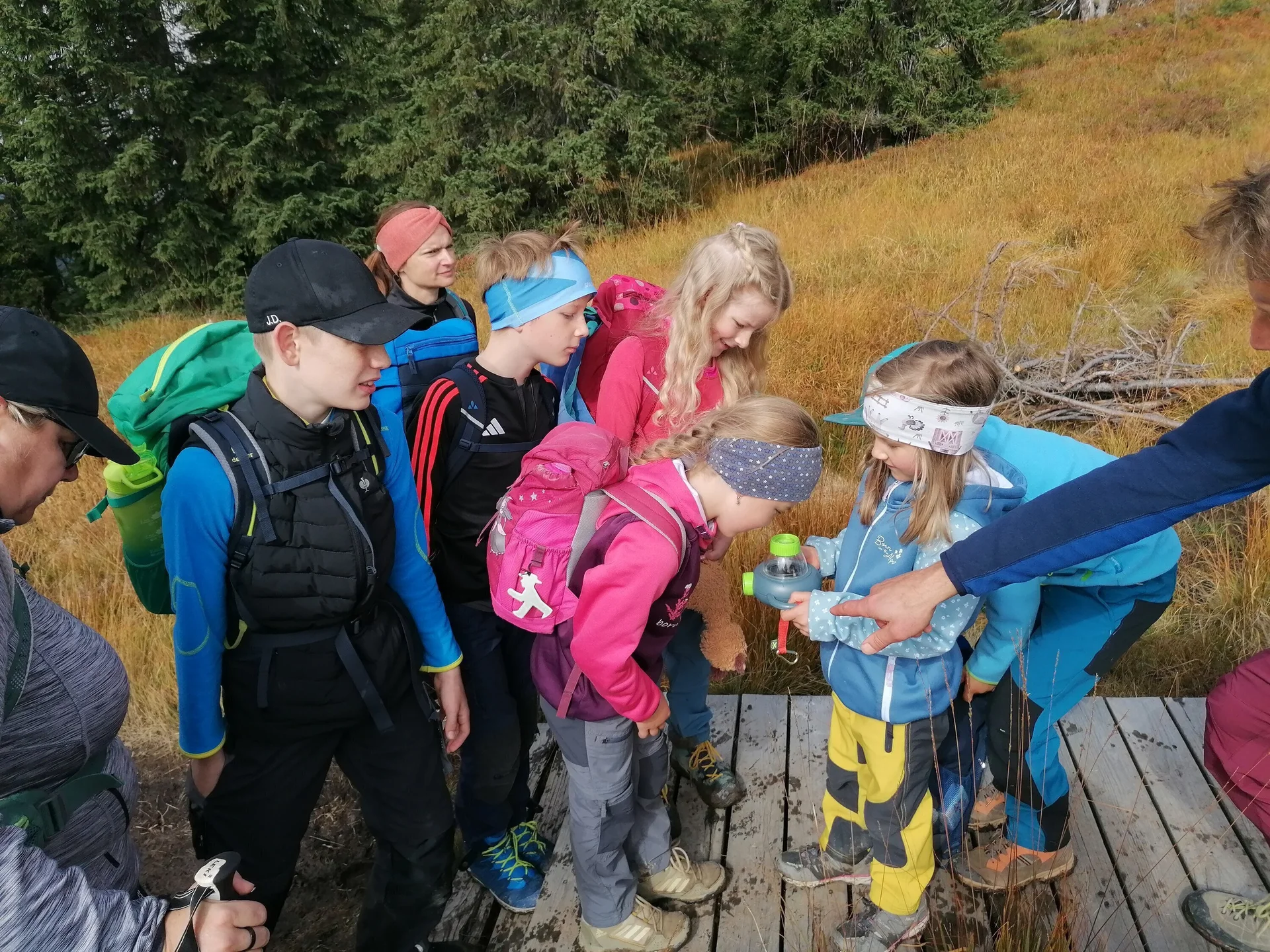 Eine Bewohnerin des Hochmoors wird näher untersucht (eine Raupe) | © Michael Puppe