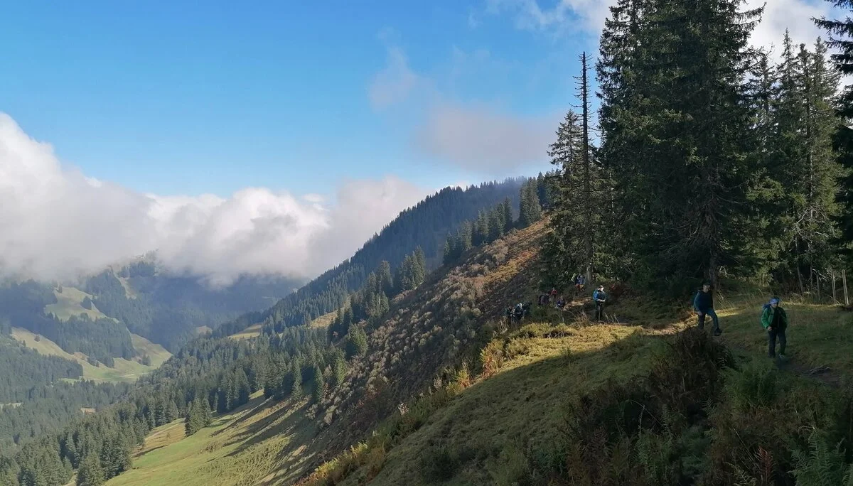 Gratweg in Richtung Riedberger Horn | © Michael Puppe