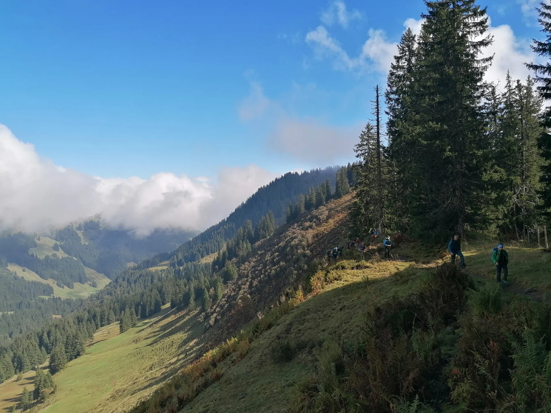 Gratweg in Richtung Riedberger Horn | © Michael Puppe