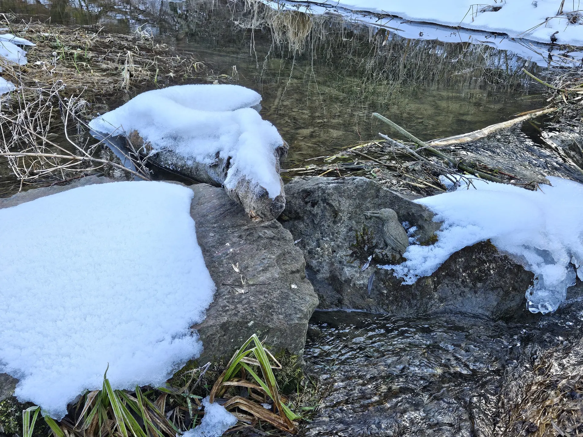 Versteinerter Eisvogel | © DAV/Mareen Mühle