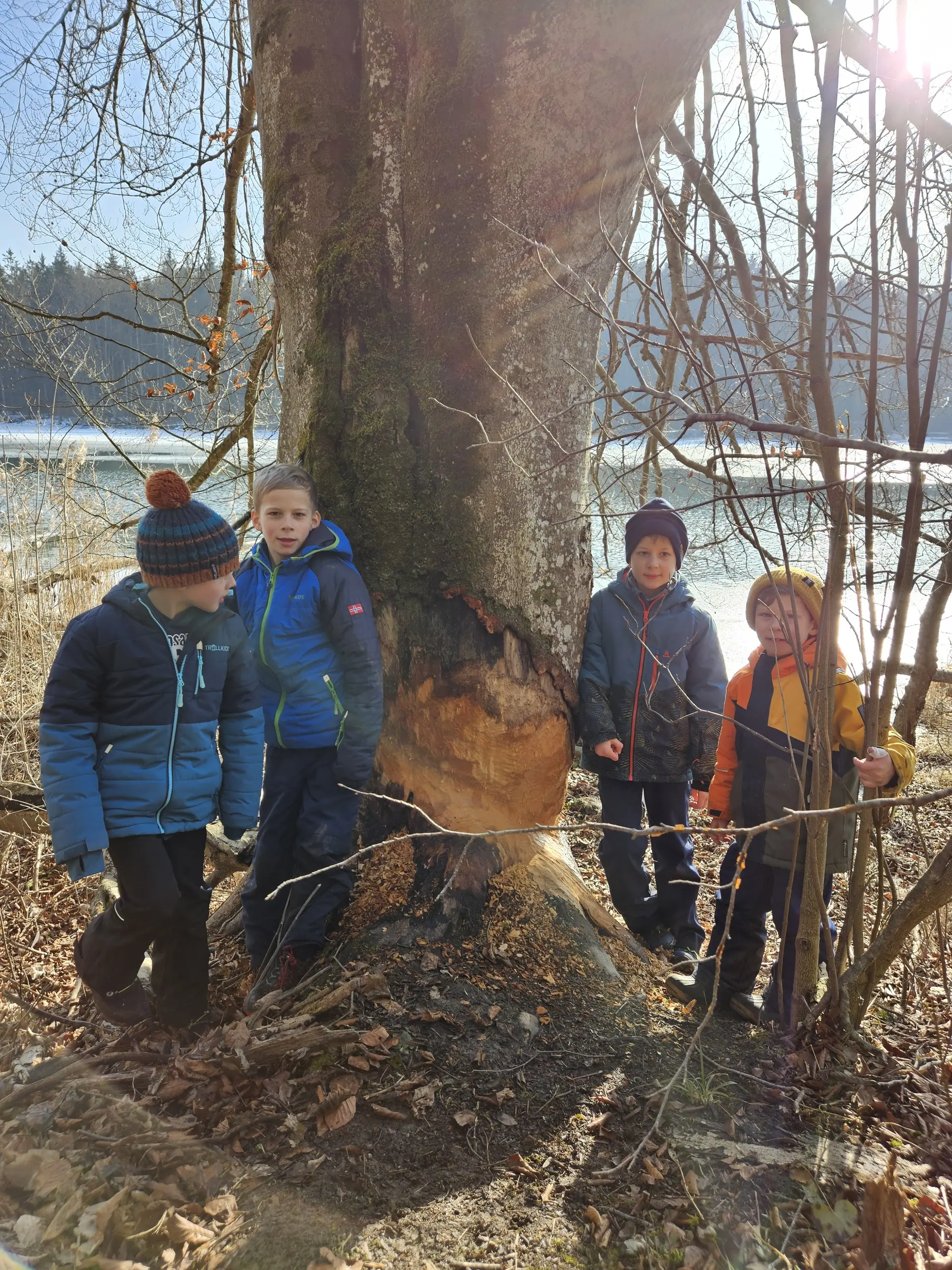 Biberspuren | © DAV/Mareen Mühle