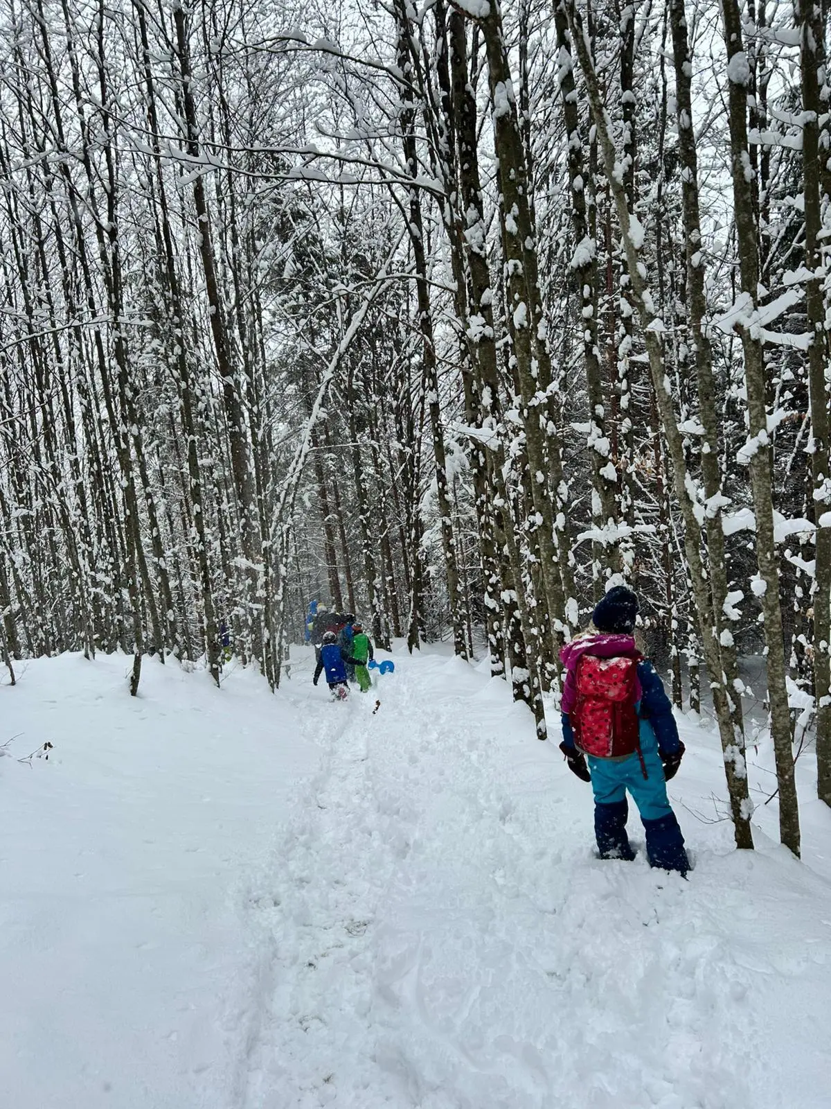 Schneereiche Rundwanderung in Tirol | © Thomas Koch