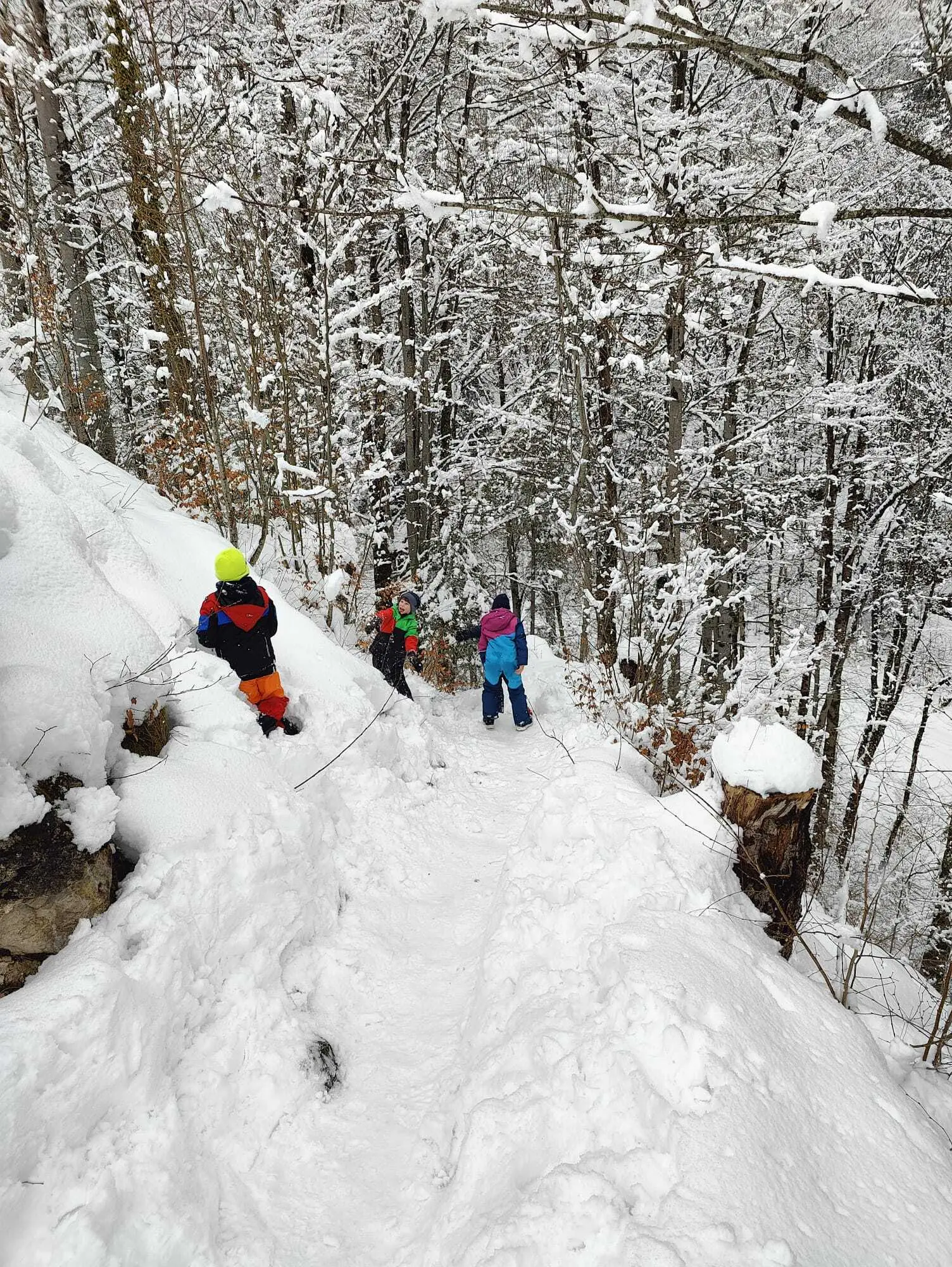Schneereiche Rundwanderung in Tirol | © Thomas Koch