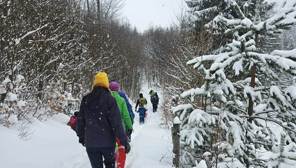 Schneereiche Rundwanderung in Tirol | © Thomas Koch