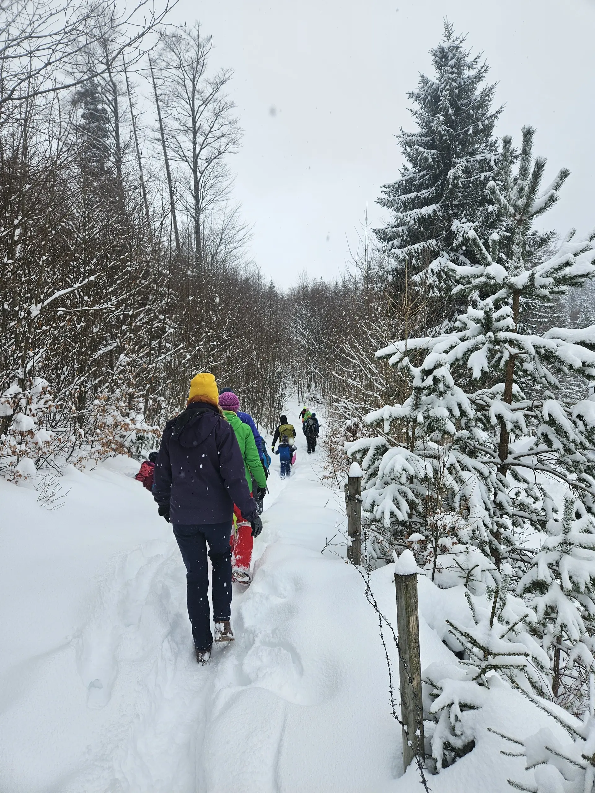 Schneereiche Rundwanderung in Tirol | © Thomas Koch