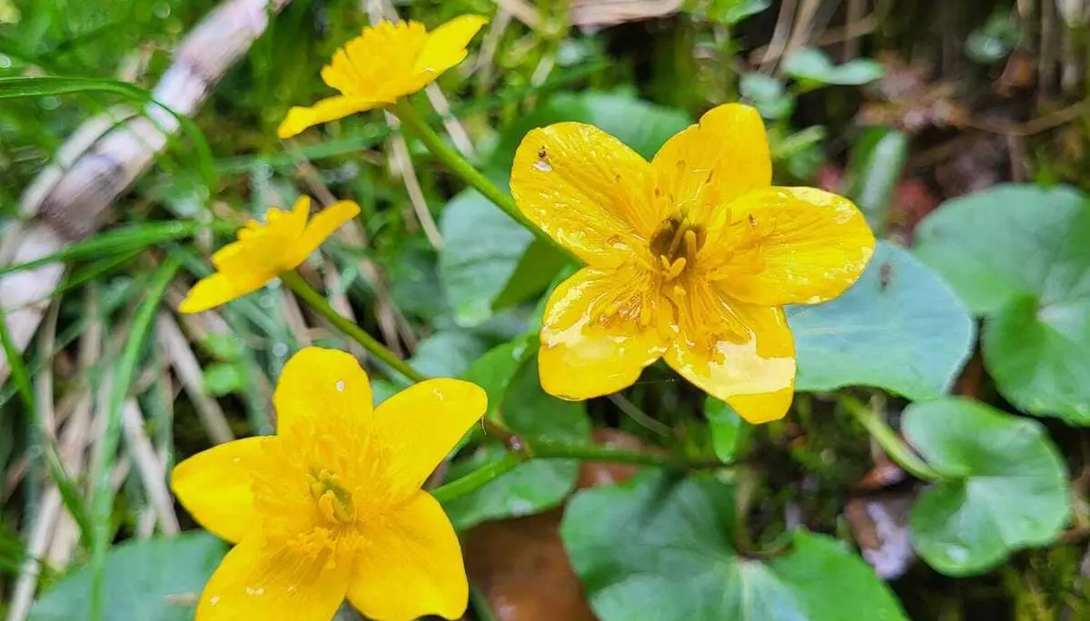 Bergpiraten in der Feuersteinschlucht | © Ludwig Hippmann-Regneri