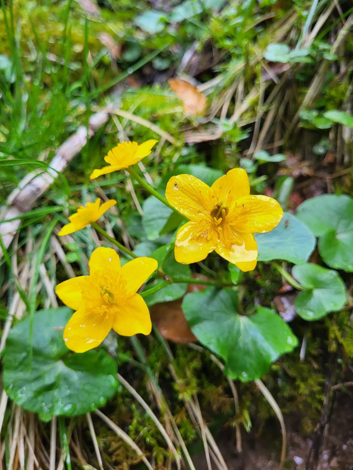 Bergpiraten in der Feuersteinschlucht | © Ludwig Hippmann-Regneri