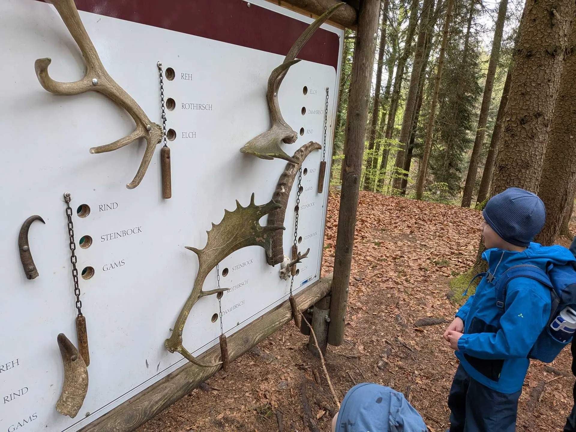 Bergpiraten in der Feuersteinschlucht | © Ludwig Hippmann-Regneri