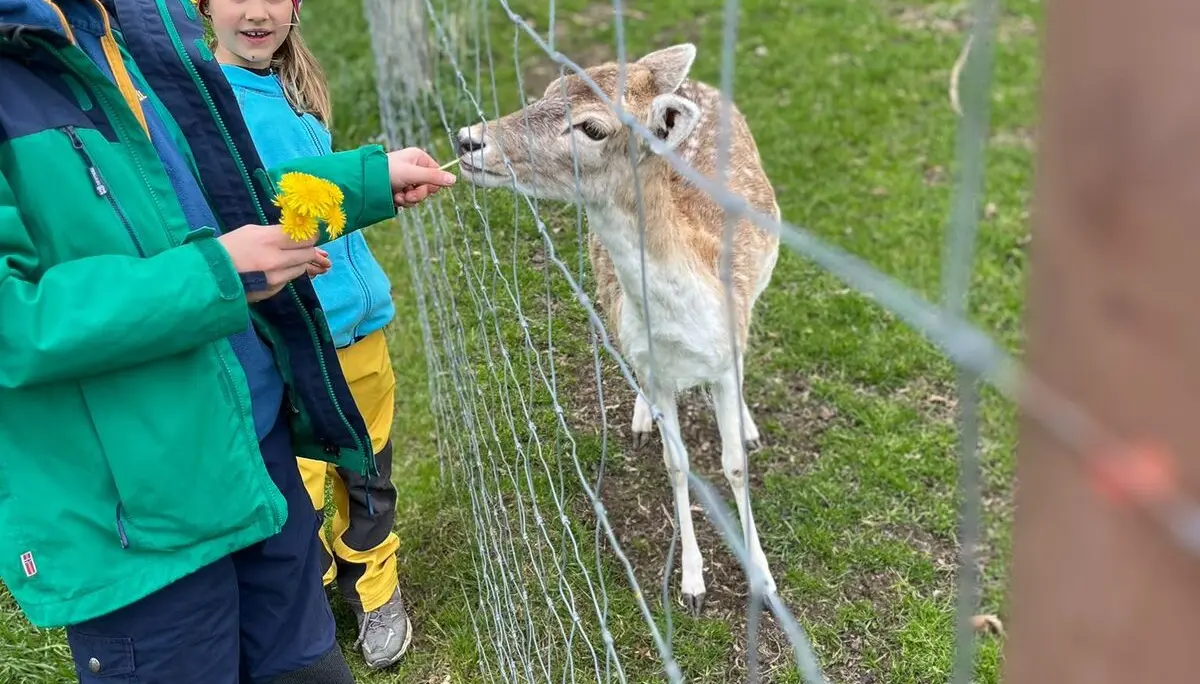 Bergpiraten in der Feuersteinschlucht | © Ludwig Hippmann-Regneri