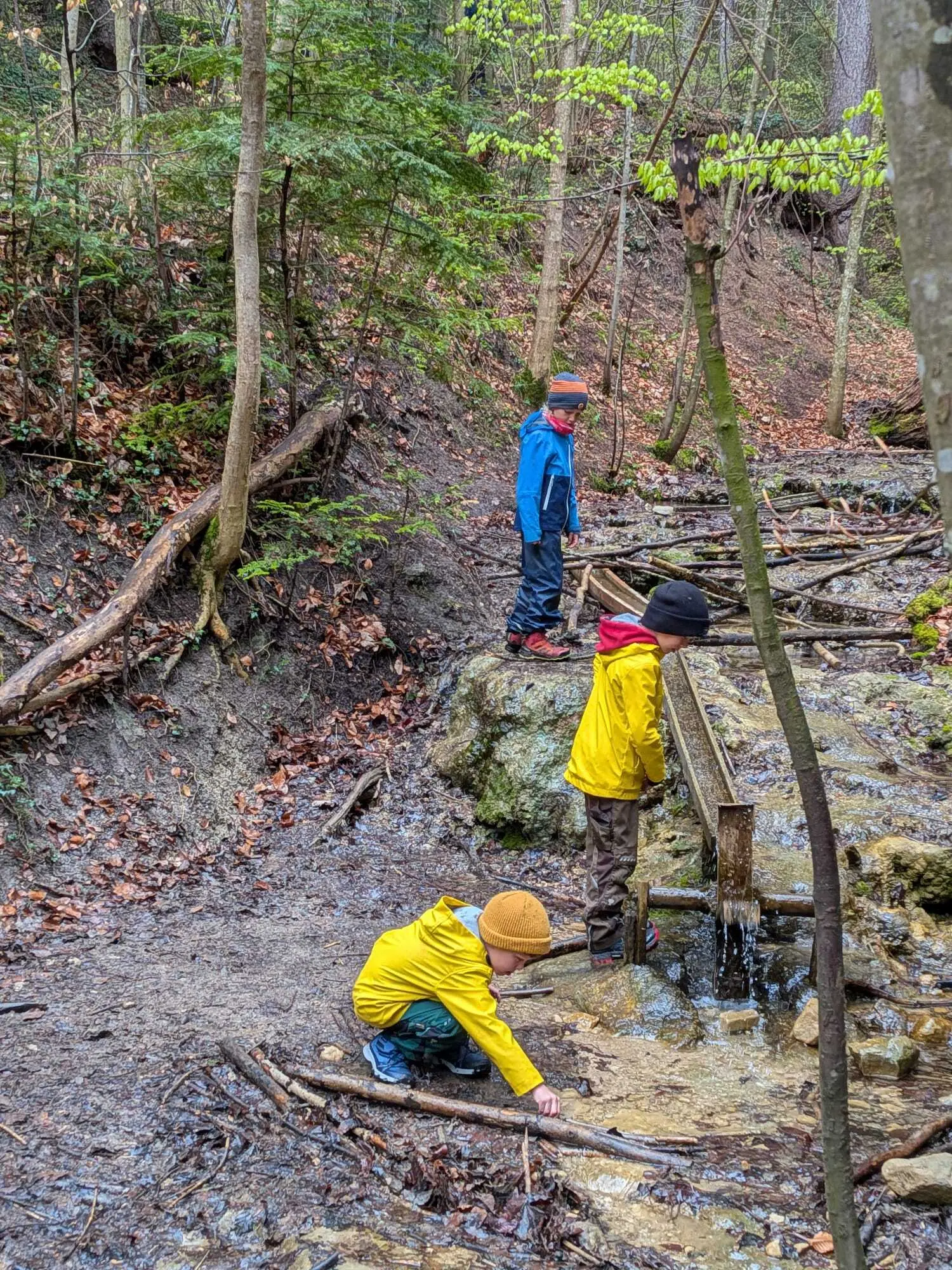 Bergpiraten in der Feuersteinschlucht | © Ludwig Hippmann-Regneri