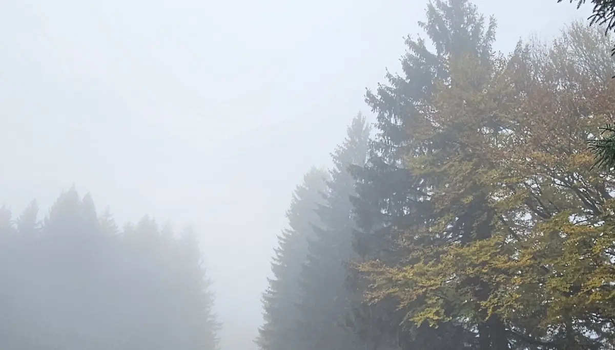 Über den Wolken am Grünten | © DAV/Mareen Mühle